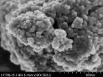 Figure 4  SEM image of Lava Ultimate resin nano-ceramic.