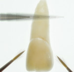 Figure 9  After Lustre Pastes areapplied, a subtle vibration willhelp distribute the material toleave no slumping or blotches.