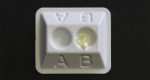 Figure 16 A diluted mixture of clear and white is added to the incisal one third if necessary for characterization.