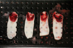 Figure 5 Four L-PRF membranes formed in specially designed fabrication kit.