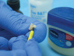 Figure 2. Painting trace amounts of petroleum jelly around the outside of the crown on the gingival one-third of the tooth.