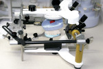 Figure 2  Diagnostic casts were mounted on an articulator using a facebow transfer.