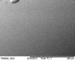 SEM view of IPS e.max surface after polishing with the LD polishing system using air-driven handpiece.