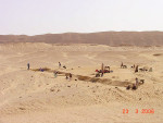 Figure 4  Excavation of the Amarna commoners cemetery(photograph courtesy of the Amarna Project, Barry Kemp,Director).