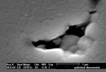 Figure 7  Electron micrographs of the microstructure of porous zirconia.