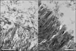 Figure 3  Transmission electron microscopy (TEM) photomicrographs show the enamel-adhesive interface produced by an etch-and-rinse adhesivebat left and a mild self-etch adhesived at right. Note the markedly different interfacial ultrastructure with d