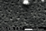 Figure 3  Electron micrographs of the microstructure of a dense zirconia (Fig 2) and porous zirconia (Fig 3).