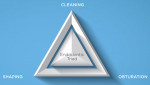 Figure 1 The endodontic triad of cleaning, shaping, and obturation is primarily dependent on the quality of cleaning, which is a better indicator for success than shaping and obturation.