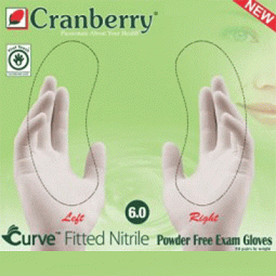 Curve Fitted Examination Gloves by Cranberry USA