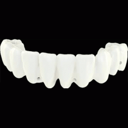 Immediate Smile® by Materialise Dental, Inc