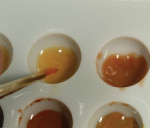 Figure 9 Light orange IV-5 stain was
brushed between mammelons.
