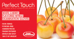 I | Perfect Touch® Cherry Flavored Nitrile Exam Gloves