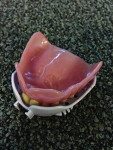 Fig 1 and 2. Select a tray that is closest to a denture that would fit the edentulous ridge. A common mistake is choosing a tray that overextends the vestibule.