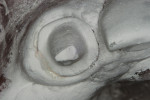 Figure 3  Prepared tooth after powdering for scanning purposes.