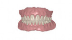 Fig 8. The digitally designed base and teeth.