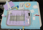 Figure 3  The corresponding endodontic tray set up.